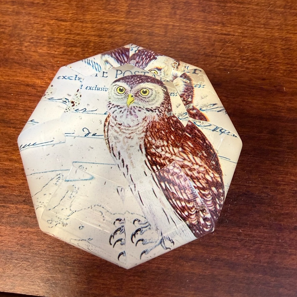 GORGEOUS owl paperweight